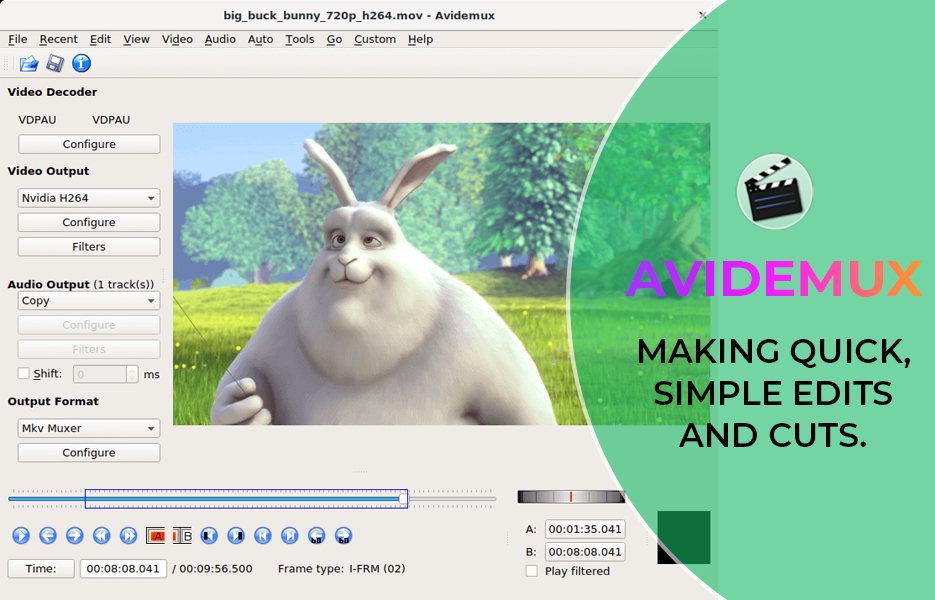 Screenshot of Avidemux Video Editing Software