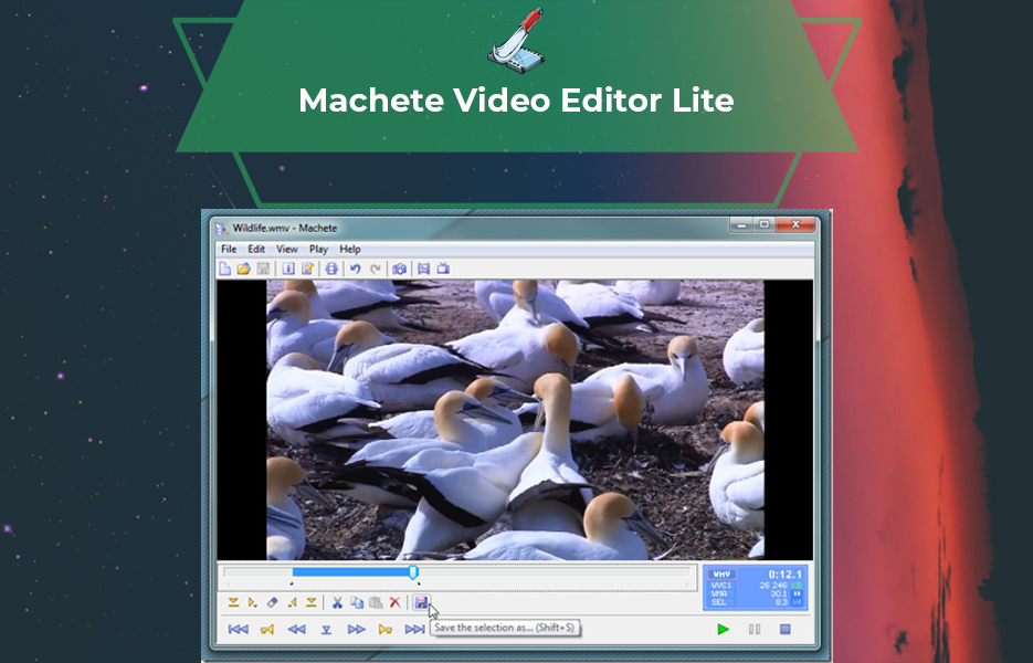 Screenshot of Machete Lite Video Editing Software