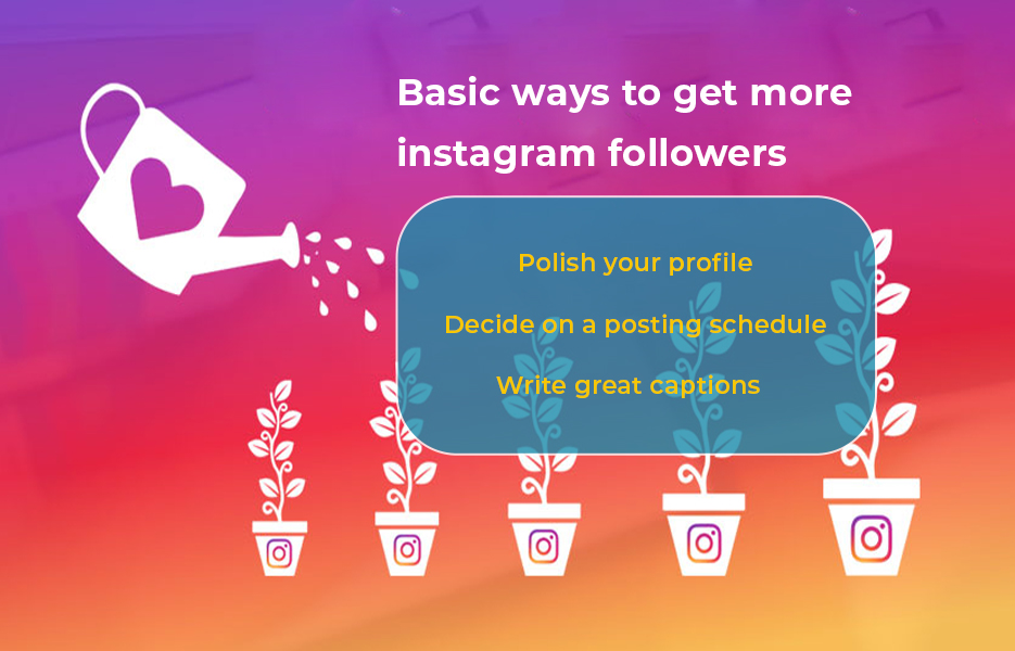 basic ways to get more instagram followers