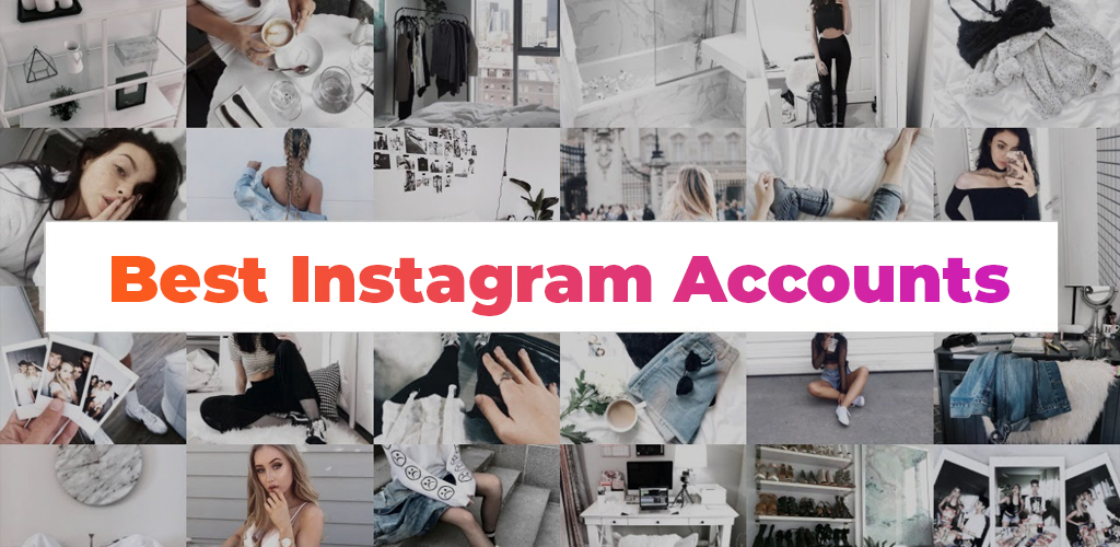 Best Instagram Accounts To Follow Avasam