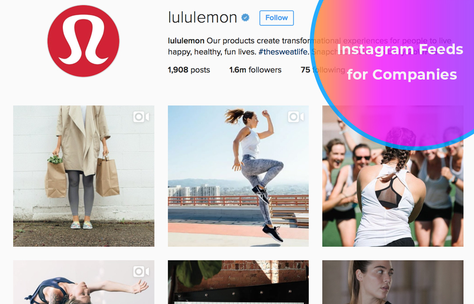 Instagram feeds for companies