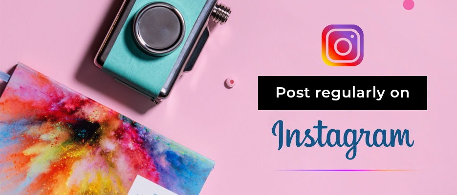 , Best Instagram accounts to follow