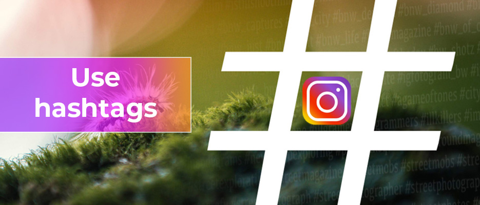 , Best Instagram accounts to follow