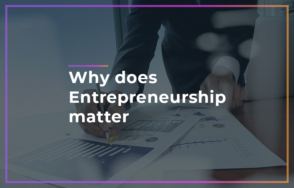 Why-does-entrepreneurship-matter