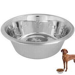 Feed Me Medium Metal Dog Pet Bowl