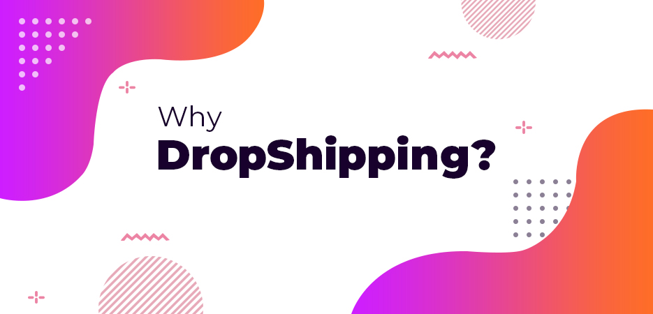 Why DropShipping
