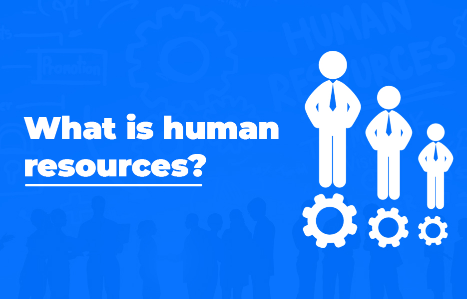 What is human resources