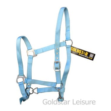 , Weekly Product Report-6
