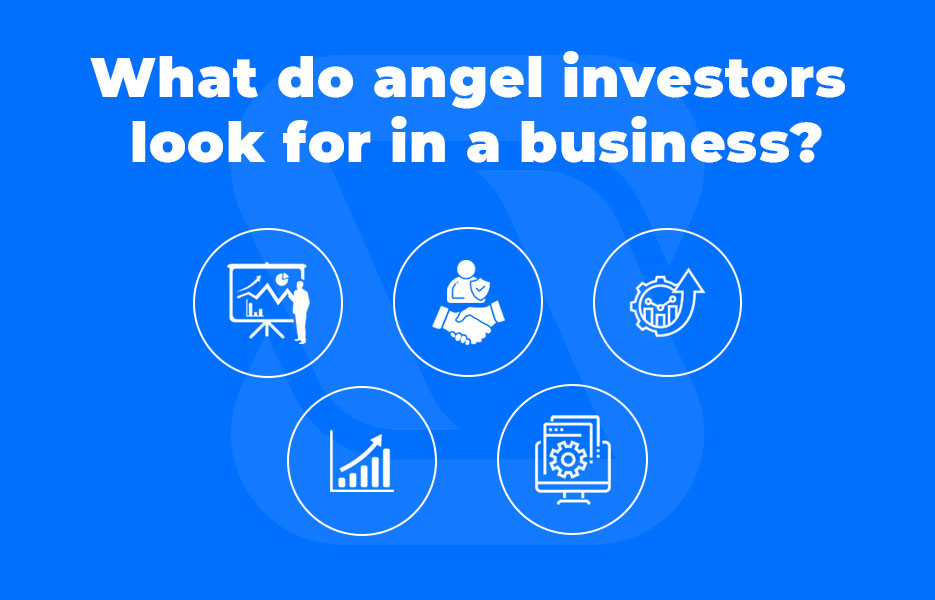 What do angel investors look for in a business