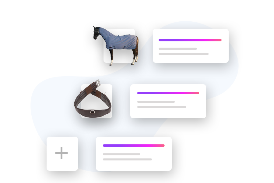 , DropShipping Equestrian products