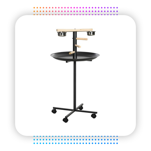 , Dropshipping Pet Supplies Products