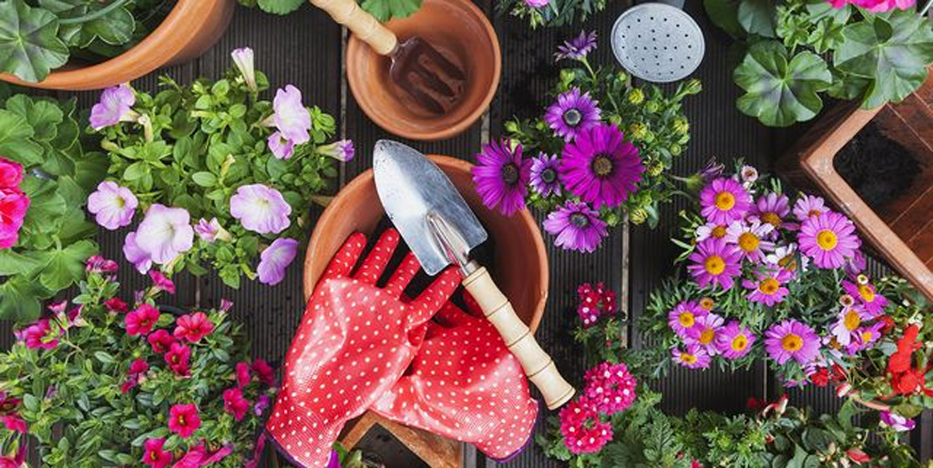 , Up Your Sales With Avasam&#8217;s Garden Category: Variety Of Products
