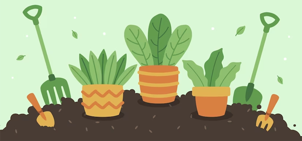 , Up Your Sales With Avasam&#8217;s Garden Category: Variety Of Products