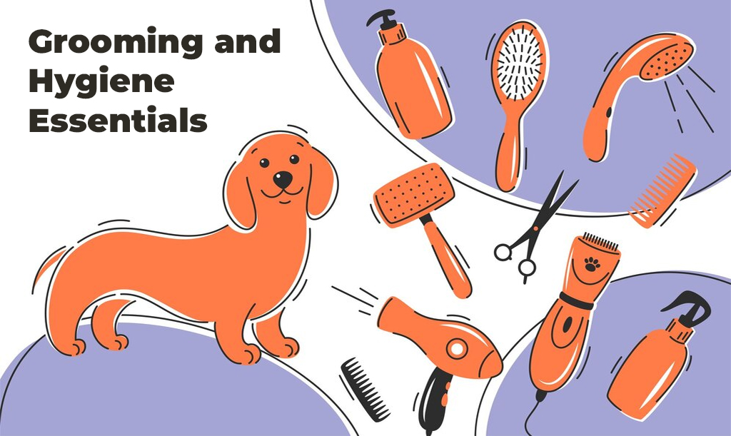 , Unleash Your Sales: Avasam&#8217;s Pawsome August Offer For Pet Stores!