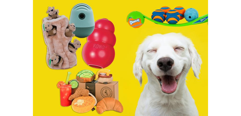 , Unleash Your Sales: Avasam&#8217;s Pawsome August Offer For Pet Stores!
