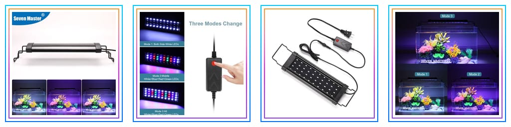 , Brighten Your Events With Avasam’s New Lighting Collection