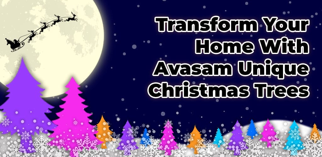 17-11-2024-Avasam