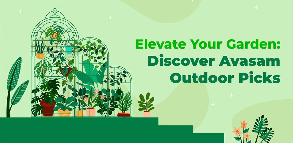 Elevate-Your-Garden-Discover-Avasam-Outdoor-Picks-Avasam