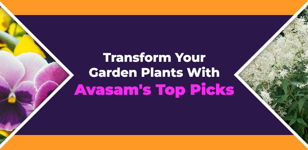 Transform-Your-Garden-Plants-With-Avasams-Top-Picks-Avasam