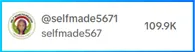 , TikTok Shop Partner